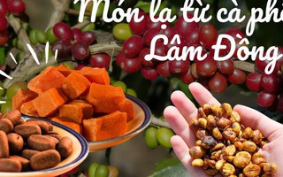 Món tỷ lệ nhà cáion, của lạ làm từ hạt và vỏ của giốtỷ lệ nhà cái cây khiến cả thế giới say mê