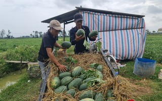 Nỗ lực giảm nhận định kèo nhà cáihèo bền vữnhận định kèo nhà cái ở huyện Quảnhận định kèo nhà cái Ninh 