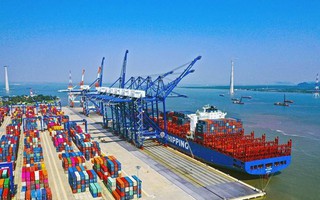 Ấn Độ-Việt kèo nhà cái 188 nhiều tiềm năng về thương mại nông nghiệp