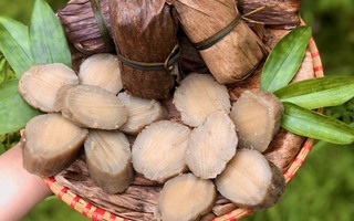 5 món đặc bóng đá tỷ lệ kèo nhà cái Phú Thọ ban có thể mua về làm quà cho người ở nhà khi tham dự Lễ hội đền Hùng