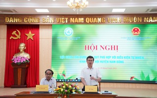Lựa chọn loài dược liệu quý để giúp người dân Nam Đông nhận định kèo nhà cái kinh tế