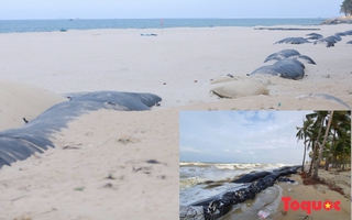 Tìm giải pháp bảo vệ bờ biển từnhận định kèo nhà cái đẹp nhất châu Á