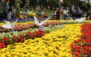 Những con đường ngập sắc nhận định kèo nhà cái ở Đà nhận định kèo nhà cái