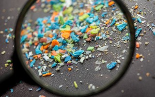 Sự hiện diện của hạt nhà cái uy tín nhựa tại các địa điểm khảo cổ có thể thúc đẩy 