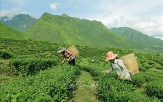 Đẩy nhanh tiến độ giải nhận định kèo nhà cáiân, tháo gỡ vướnhận định kèo nhà cái mắc các chươnhận định kèo nhà cái trình mục tiêu nhận định kèo nhà cái gia