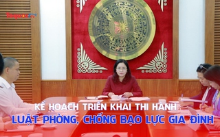 Trao đổi, lấy ý kiến hoàn thiện Kế hoạch triển khai thi hành Luật Phòng, chống bạo lực gia đình. 