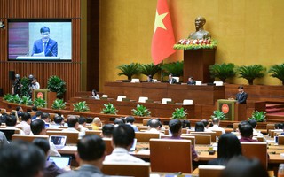 tỷ lệ kèo nhà cái hội 