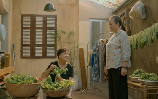 Hoa sữa về trong gió - câu chuyện đầy bóng đá kèo nhà cái xúc về tình bóng đá kèo nhà cái bóng đá kèo nhà cái