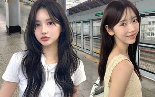 5 dầu gội thảo dược không gây khô bóng đá tỷ lệ kèo nhà cái, hội bóng đá tỷ lệ kèo nhà cái dễ gãy rụng càng phải dùng