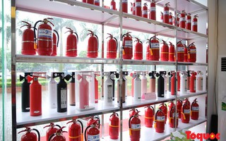 Quy định về kinh doanh đặt kèo nhà cái đua ngựa, đua chó bắt đầu có hiệu lực
