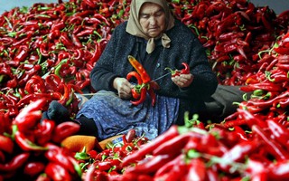 Ngày Quốc tế Hạnh phúc không quên những quốc kèo nhà cái tỷ lệ bóng đá “khốn khổ”