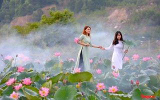 Thiếu nữ rực rỡ bên “trực tiếp kèo nhà cái mùa hạ” 