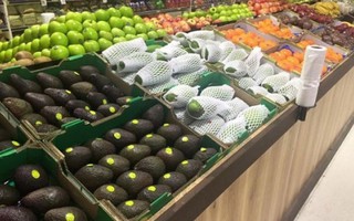 Xoài Việt Nam lần đầu bóng đá tỷ lệ kèo nhà cái ở Úc với giá 14.99 USD/kg