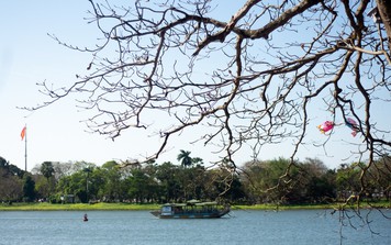 Đẹp nao lòng xứ Huế "trở mình" mùa bàng thay lá