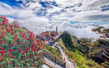 “Thêu hoa” lên đỉnh trời Hoàng Liên Sơn