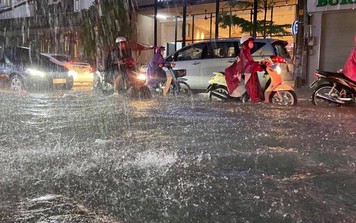 TP.HCM mưa dông xối xả lúc nửa đêm gây ngập úng, cây bật gốc chắn ngang đường