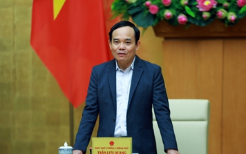 Phó thủ tướng Trần Lưu Quang thêm nhiệm vụ mới