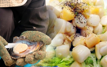 Về Thanh Lân tìm đặc sản, ăn thứ "đanh" hà nơi biển sâu