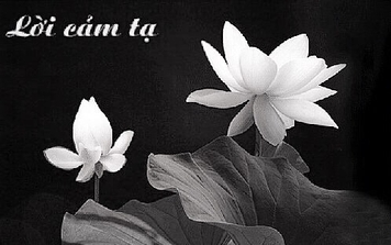 Lời cảm ơn