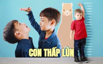 Bố mẹ có chiều cao lý tưởng con vẫn có nguy cơ bị lùn: Chuyên gia chỉ ra cách nhận biết trẻ thấp lùn trong tương lai