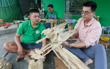 Quảng Nam: Vỡ nợ vì 3 lần khởi nghiệp thất bại, ôm nợ 200 triệu, chàng trai về quê tìm "vàng" trong thân cây rồi đổi đời từ đó