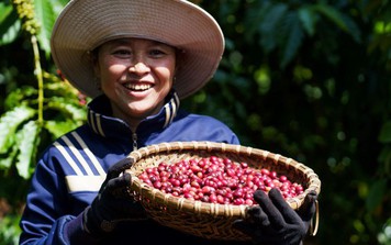 Nestlé thúc đẩy nền nông nghiệp phát thải thấp qua mô hình nông nghiệp tái sinh
