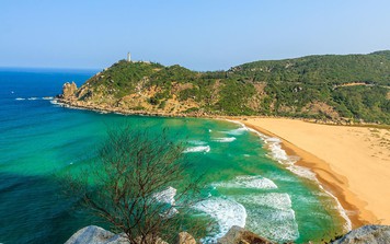 Đến thăm xứ hoa vàng trong 3 ngày 2 đêm với chi phí khoảng 4 triệu đồng