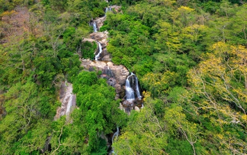 Bộ TNMT đang tham vấn chuyển đổi 12ha rừng tự nhiên tại Vườn quốc gia Núi Chúa làm Khu nghỉ dưỡng cao cấp