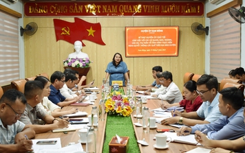 Phát triển diện tích trồng quế nguyên liệu tại huyện miền núi Nam Đông