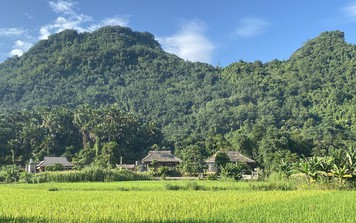 Phát hiện thung lũng như bước ra từ truyện cách Hà Nội hơn 200km, du khách nhận xét "xứng đáng được biết tới nhiều hơn"