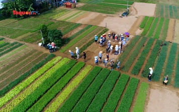 Chủ đề Ngày Du lịch thế giới 2023 mang thông điệp phát triển "xanh" bền vững