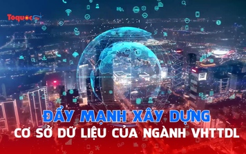 Đẩy mạnh xây dựng cơ sở dữ liệu của ngành VHTTDL, đóng góp tích cực vào quá trình chuyển đổi số quốc gia