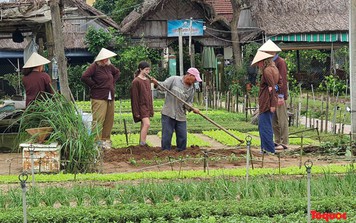 Hình ảnh bình yên ở làng rau Trà Quế - làng du lịch tốt nhất năm 2024