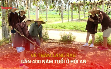 Về thăm làng rau gần 400 năm tuổi ở Hội An