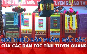 Hải Phòng: Giới thiệu nhiều sản phẩm đặc sắc của bà con dân tộc tỉnh Tuyên Quang