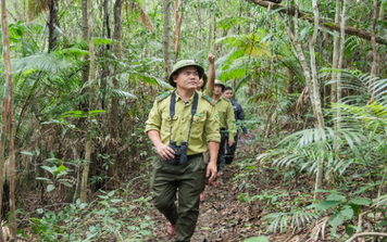 Công tác nỗ lực tuần tra, tháo gỡ bẫy tại vườn quốc gia Vũ Quang - Hà Tĩnh