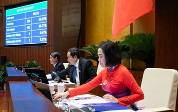 Quốc hội thông qua 2 Nghị quyết về thí điểm bổ sung một số cơ chế, chính sách đặc thù phát triển của Nghệ An, TP Đà Nẵng
