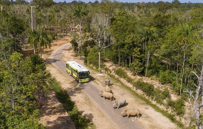 Vinpearl Safari Phú Quốc lọt top đầu vườn thú và thủy cung tại Châu Á