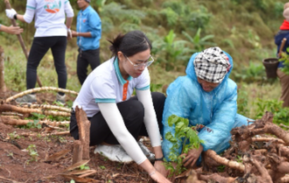 ABBank tặng 50.000 cây gỗ lớn cho người dân Quảng Bình