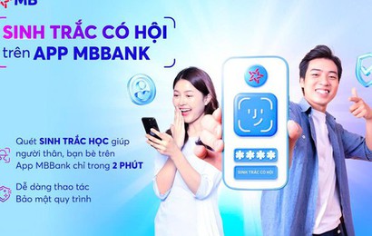 Những "điểm tựa" trong cơn bão Yagi giúp người Việt đối phó với thiên tai