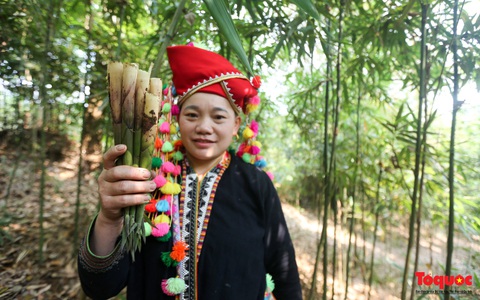 Hướng dẫn khai thác "Lộc rừng" giúp phụ nữ dân kèo nhà cái 88 có thêm sinh kế