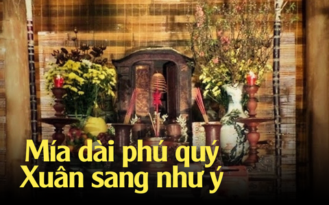 “Cây bất tử” được người Mường thờ phụng để lấy may cho năm mới, nếu mua vào mùng 1 kèo nhà cái 5 thì tuyệt đối không làm điều này