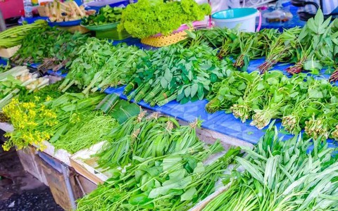 Có 6 loại rau mùa xuân cực ngon nhưng bạn nhất định phải chần trước khi nấu kèo nhà cái 5: Rất nhiều người thường bỏ qua