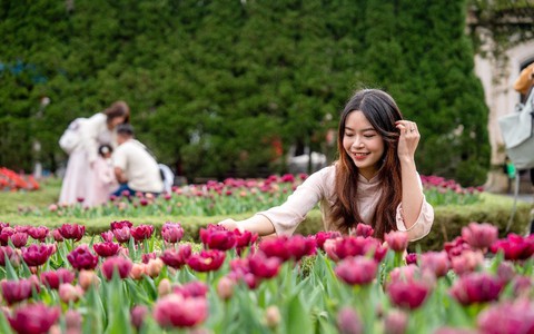 Điểm danh 3 sản phẩm nhận định kèo nhà cái mới hứa hẹn “làm mưa làm gió” tại Đà Nẵng