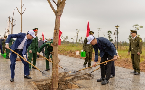 Quảng Bình: Trồng cây gây rừng tạo sinh kế, khai thác du kèo nhà cái trải nghiệm