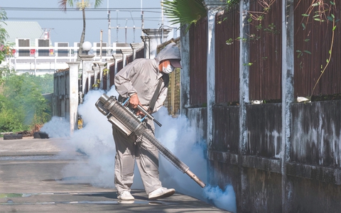 Sốt xuất huyết: Đừng để “chuyện muỗi” làm lớn!