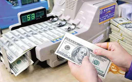 Phạt từ 10 đến 20 triệu đồng với hành vi thanh toán tiền hàng hóa, dịch vụ bằng ngoại tệ