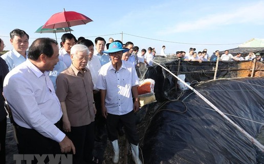 Hình ảnh Tổng Bí thư, Chủ tịch nước Nguyễn Phú Trọng tại Kiên Giang