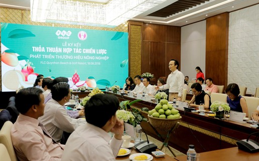 FLC bảo hộ, phân phối thương hiệu Xoài Cao Lãnh
