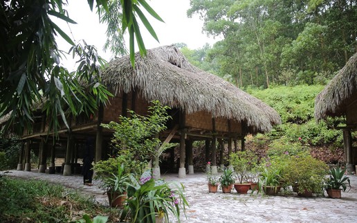 Làng nhà sàn dân tộc sinh thái Thái Hải – Kết nối giữa bảo tồn văn hóa và phát triển du lịch